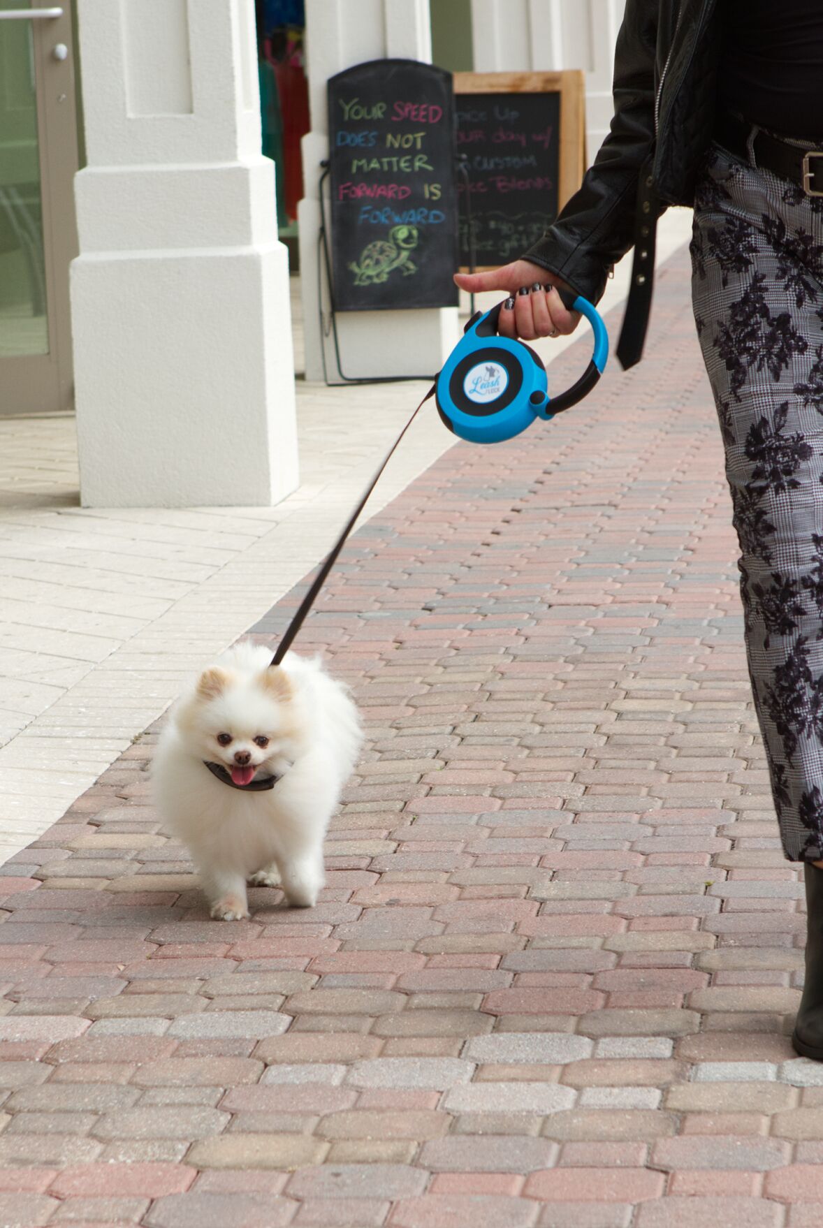 PR2 Leash Lock.png